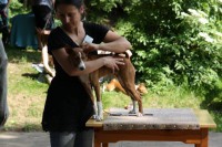 /album/fotogalerie-bango-ximbir-ewo/stenda-3-jpg1/